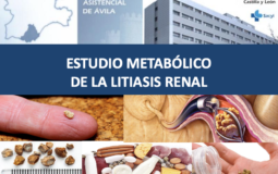 Estudio metabólico de la litiasis renal