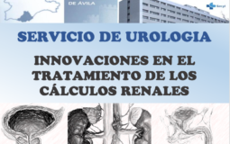 Innovaciones en el tratamiento de los cálculos renales