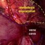 Suprarrenalectomía bilateral laparoscópica por metástasis de carcinoma urotelial